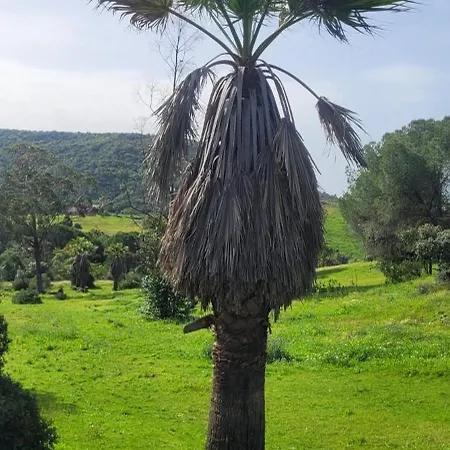 Quinta Do Vale * São Bartolomeu de Messines