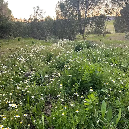 Quinta Do Vale Appartement