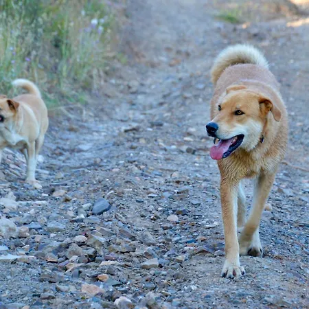 Quinta Do Vale Appartement São Bartolomeu de Messines